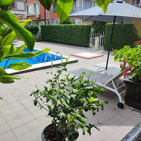 Divela 3 ネセバル