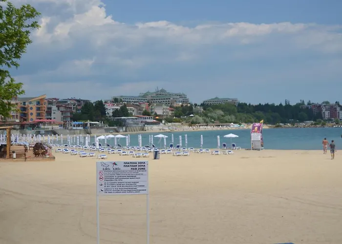 Daire Divela 3 Misivri